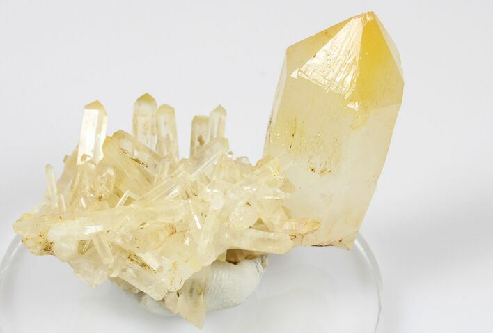Mango Quartz Crystal Cluster - Cabiche, Colombia #188355